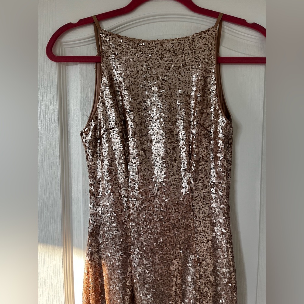Lulu’s Gown - Picture 2 of 3
